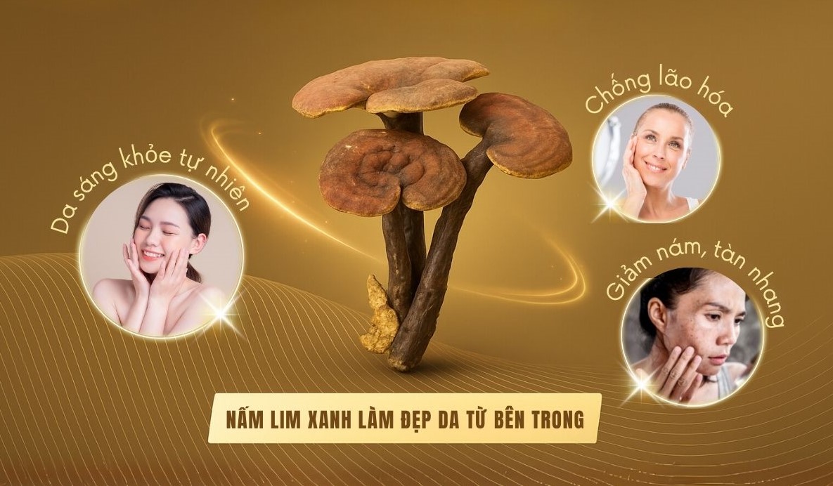 Nấm Lim Xanh làm đẹp da